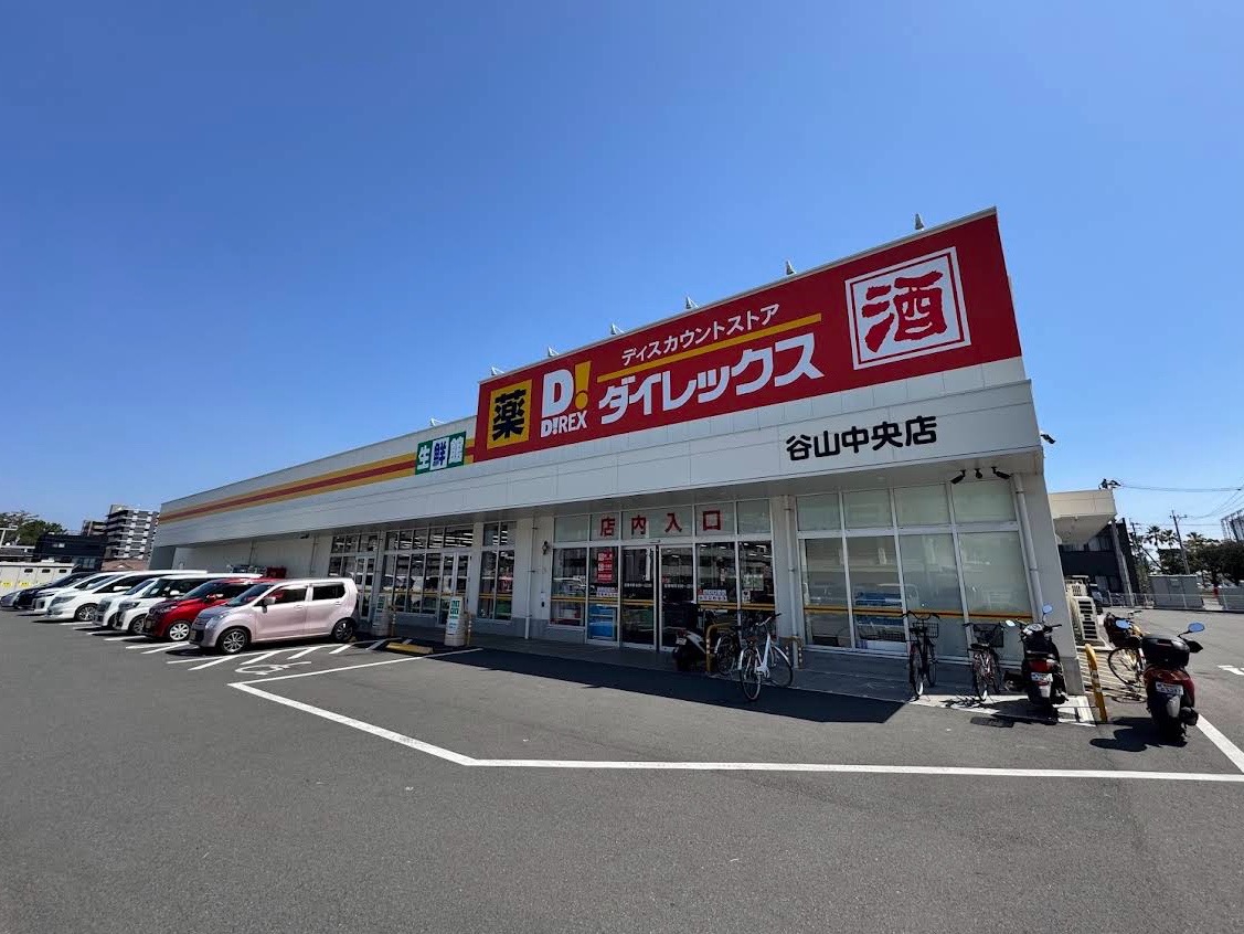 ダイレックス 谷山中央店