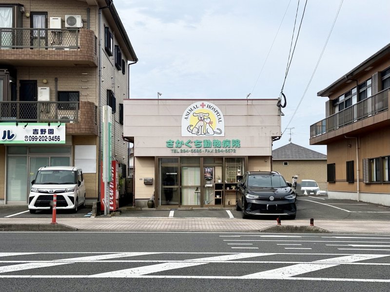 さかぐち動物病院
